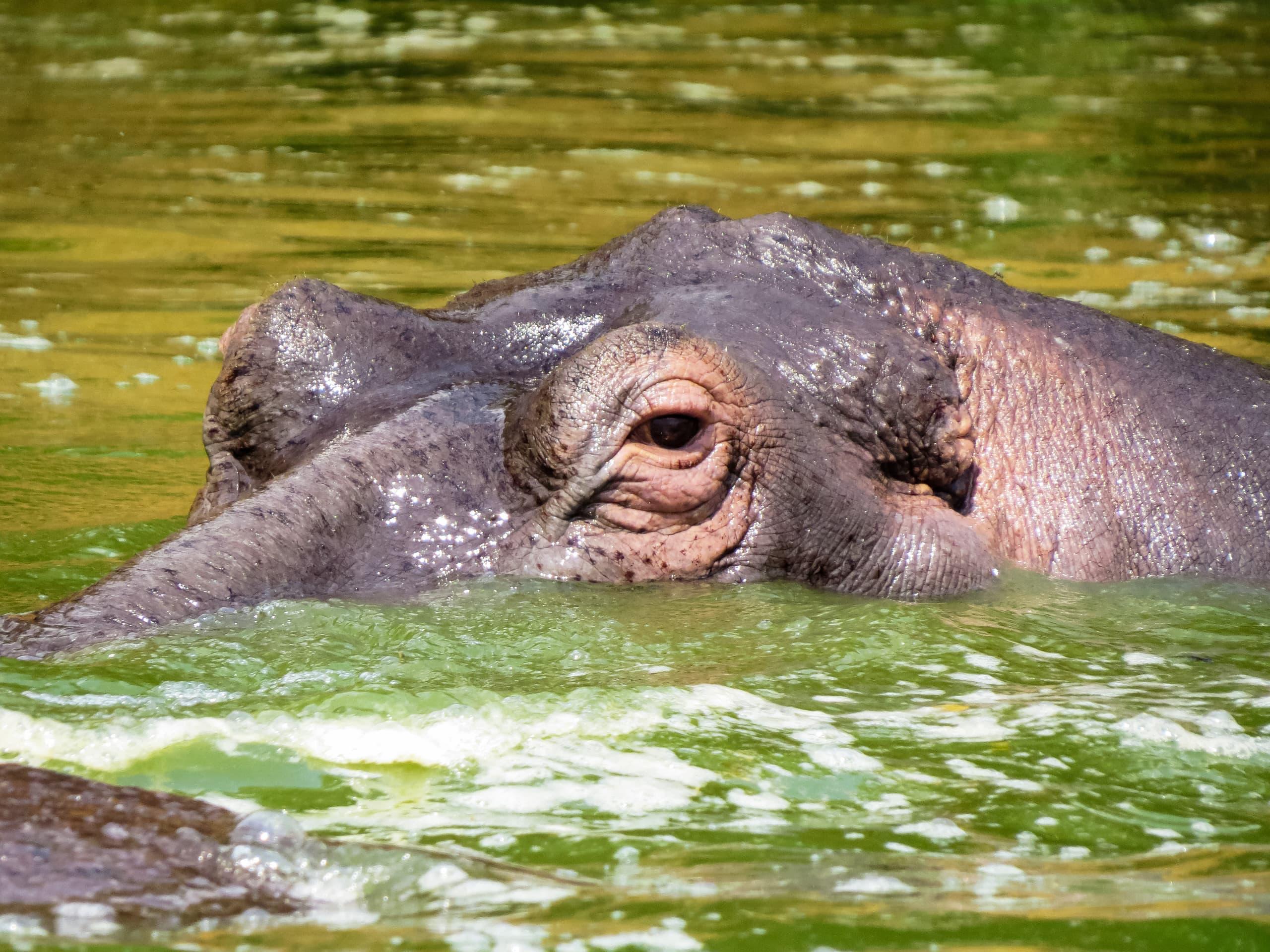 8 Days Uganda & Rwanda Tour