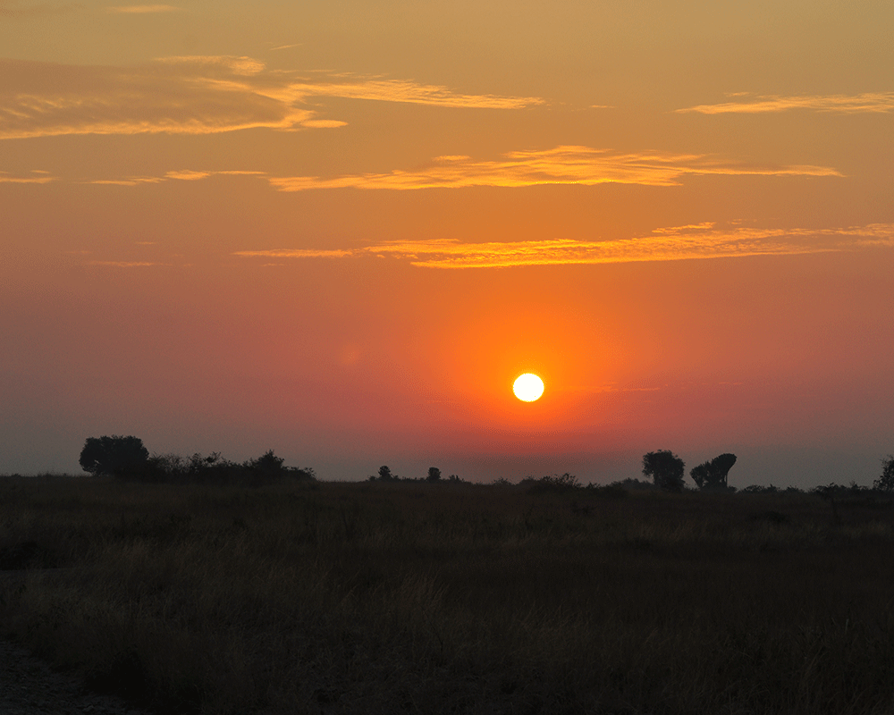 16 Days Best of Uganda Rwanda Safari