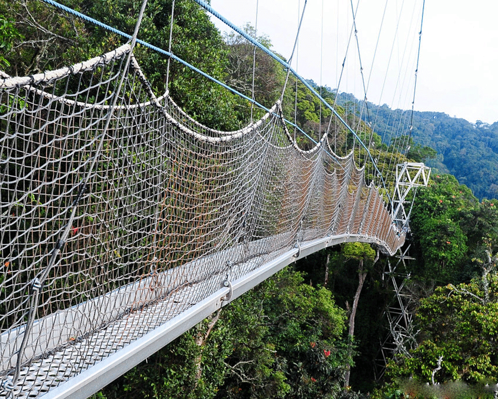 Nyungwe Forest National Park