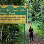 Gorilla Trekking Regions in Bwindi