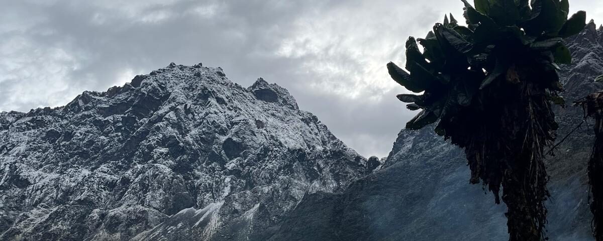 Hiking Mount Rwenzori in October