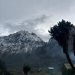 Hiking Mount Rwenzori in October