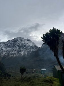 Hiking Mount Rwenzori in October