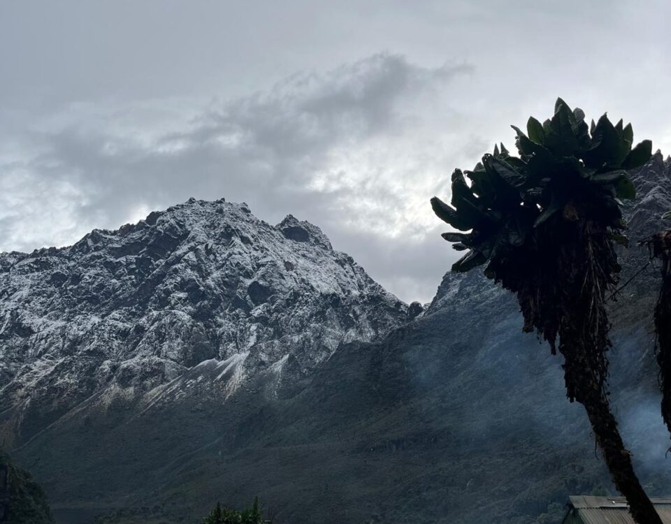 Hiking Mount Rwenzori in October