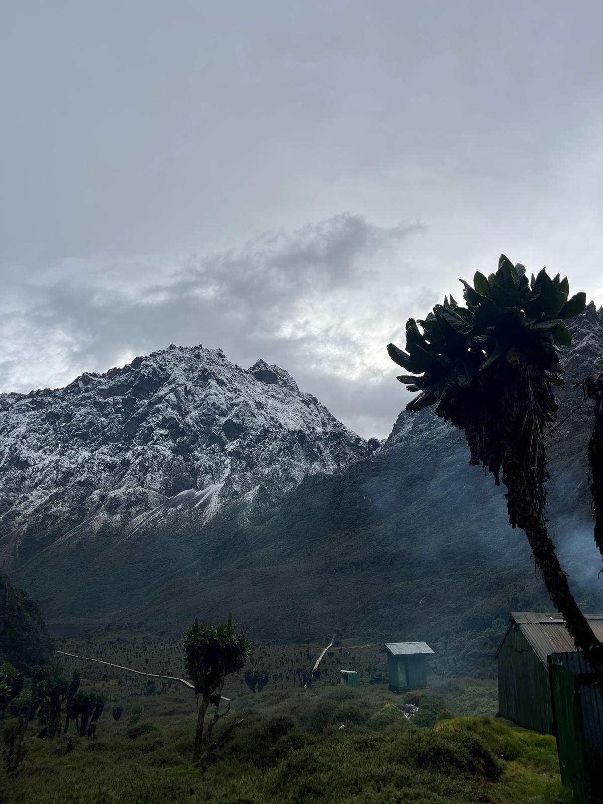 Hiking Mount Rwenzori in October